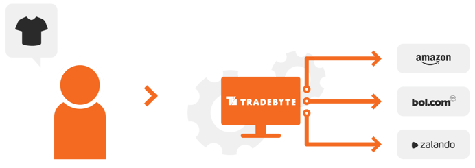Brandsom Visual - Integratie (TradeByte)